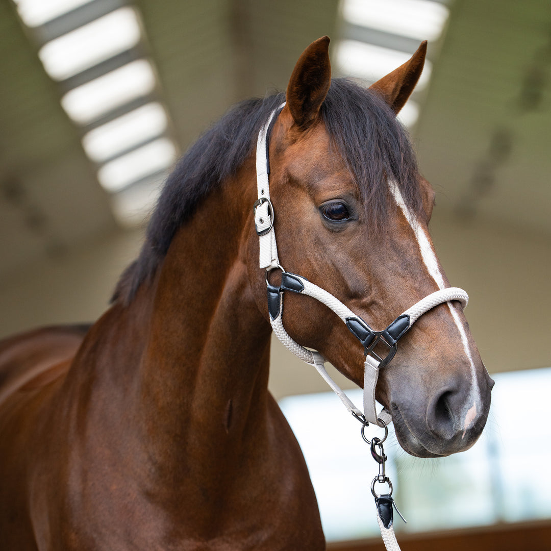 Imperial Riding Headcollar Laura - Grey Sand