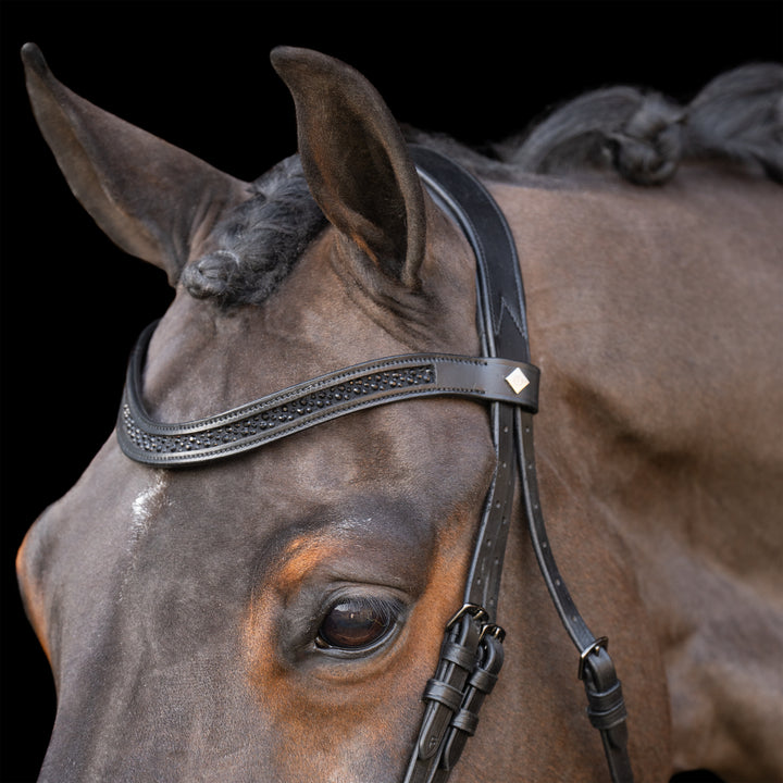 Imperial Riding Snaffle Bridle with English Noseband