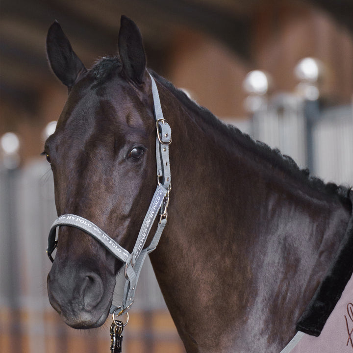 hv-polo-headcollar-hvpnena-stone