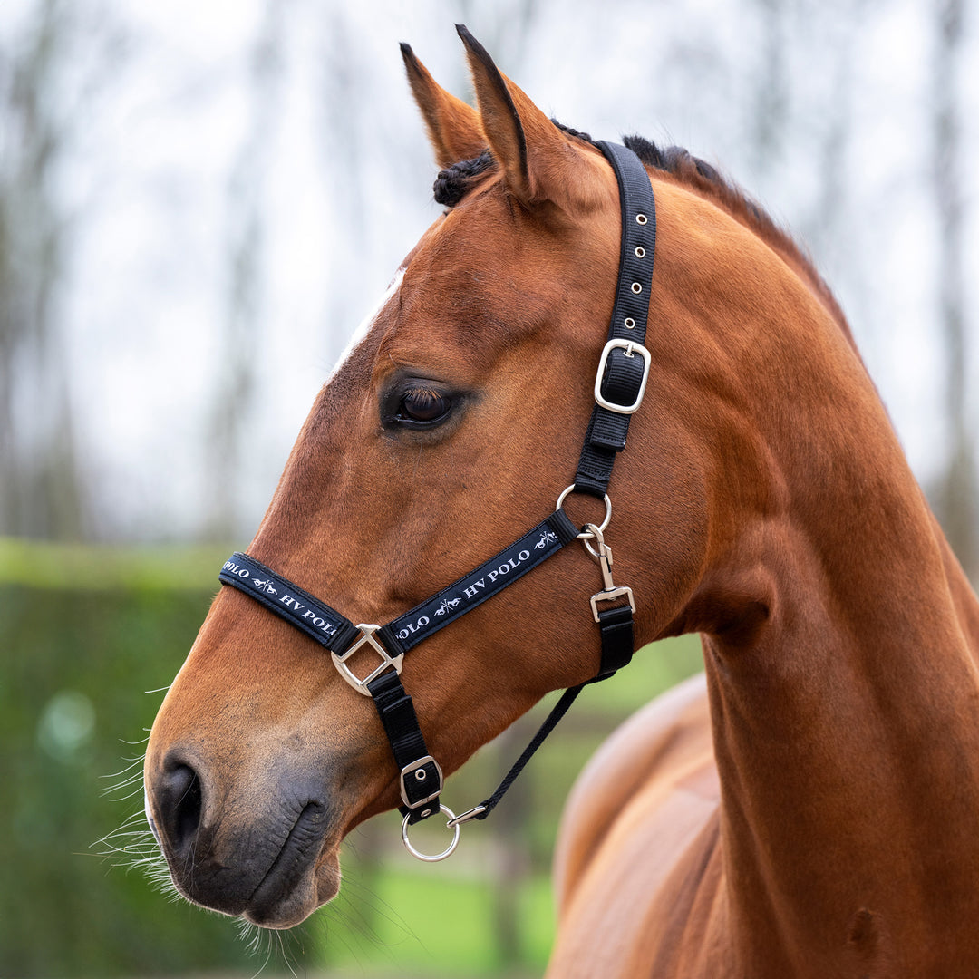 hv-polo-headcollar-hvpnena-black