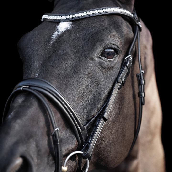 hv-polo-bridle-hvplegacy-deluxe-black