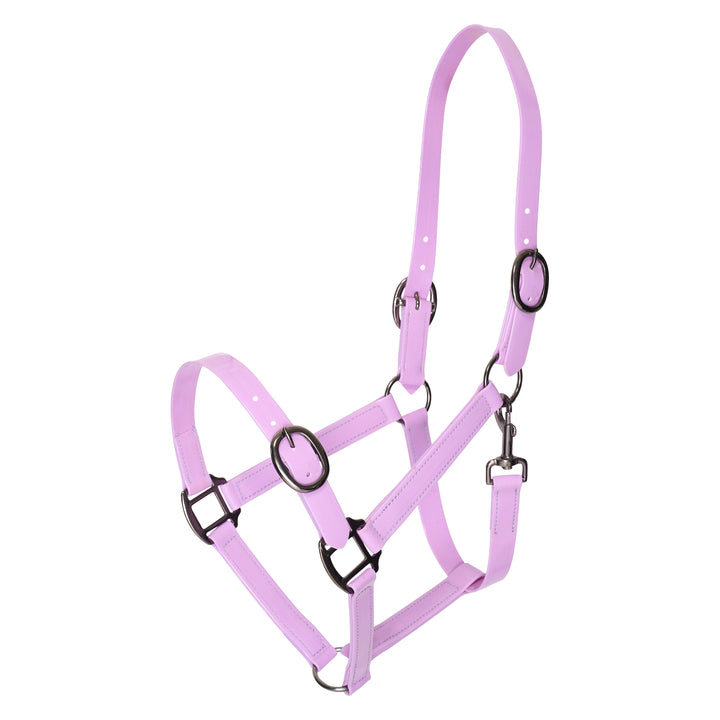 Imperial Riding Headcollar Super-proof Glossy