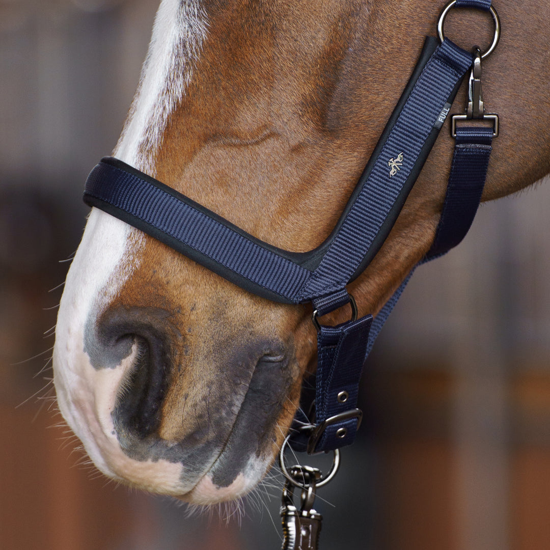hv-polo-headcollar-hvpessential-navy