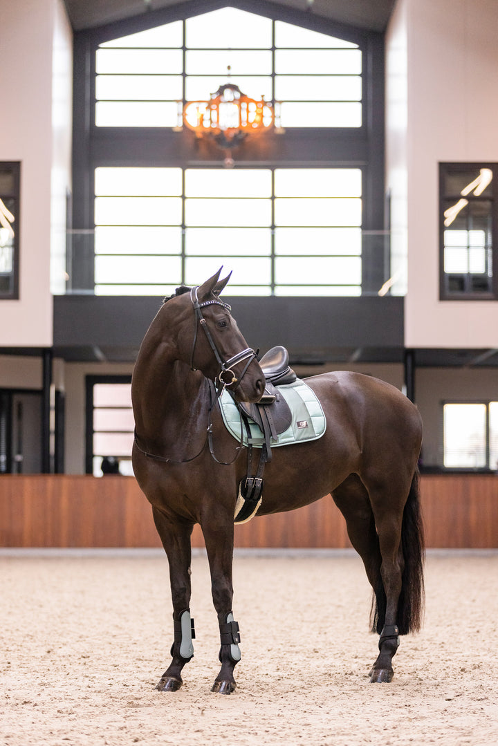Imperial Riding Fetlock Boots Lovely