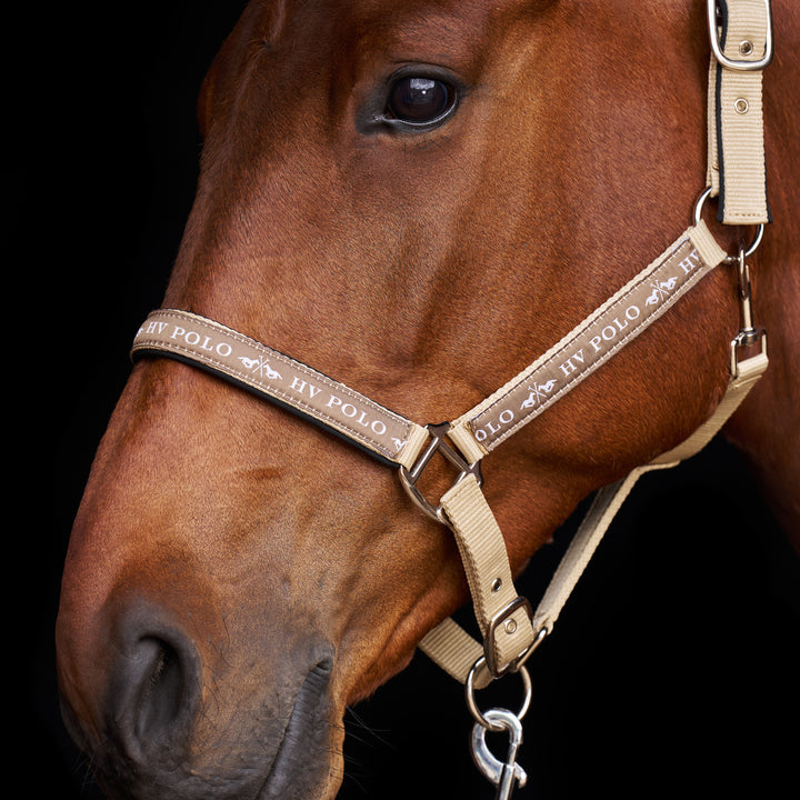 hv-polo-headcollar-hvpnena-tan