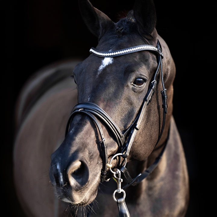 hv-polo-bridle-hvplegacy-deluxe-black