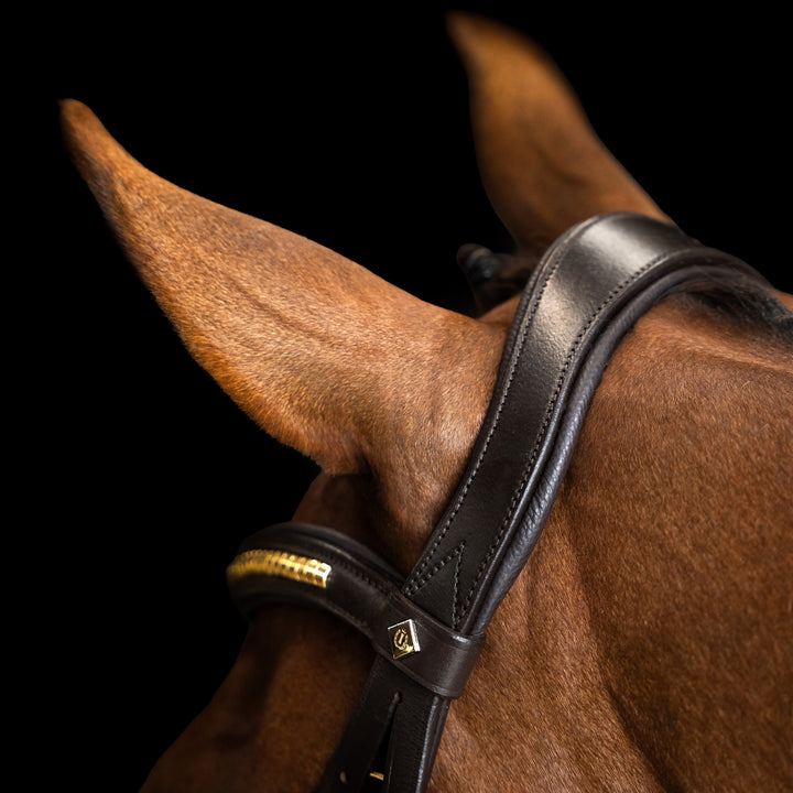 Imperial Riding Bridle Mexican