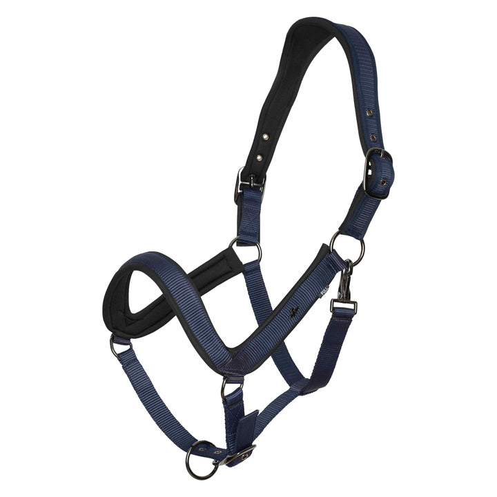 hv-polo-headcollar-hvpessential-navy