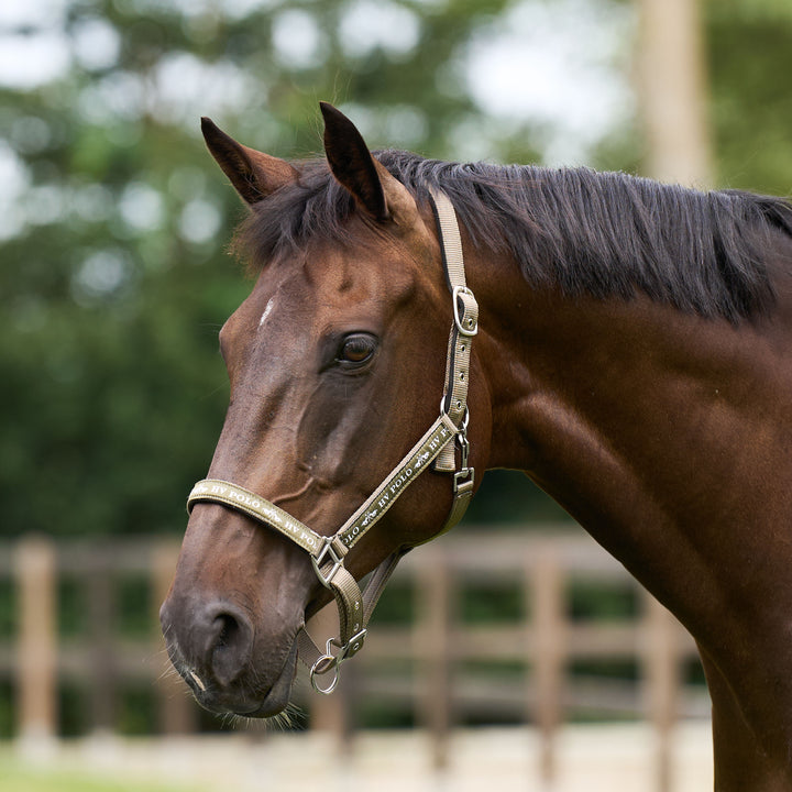 hv-polo-headcollar-hvpnena-straw