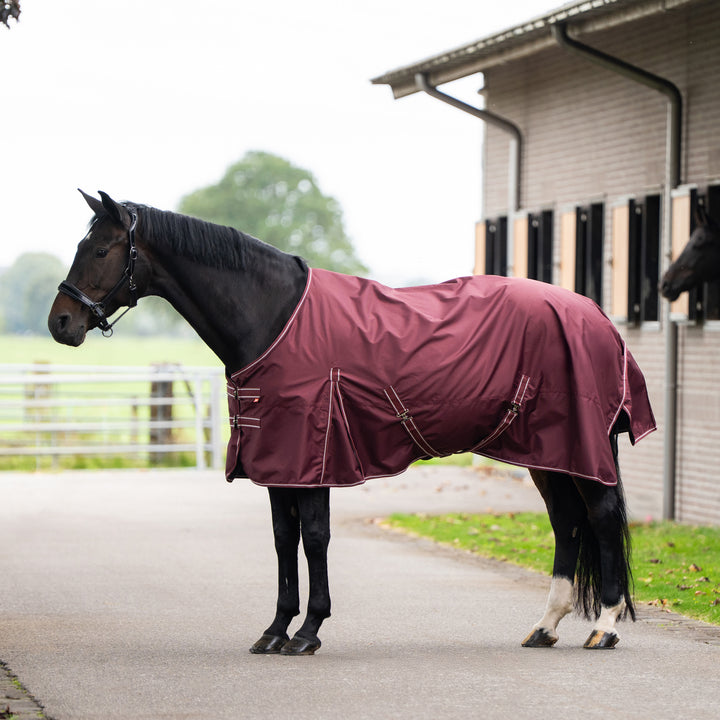 Imperial Riding Outdoor Blanket Basic Without Neck 200 g - Deep Red