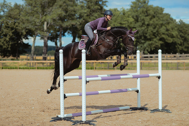 Riding Breeches Elite Grey - view 8