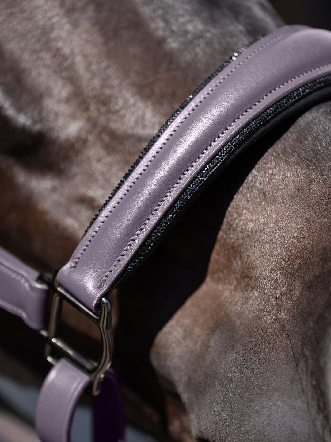 Equestrian Stockholm Anatomic Glimmer Leather Halter Dark Violet - Halter - Kingdom Equestrian