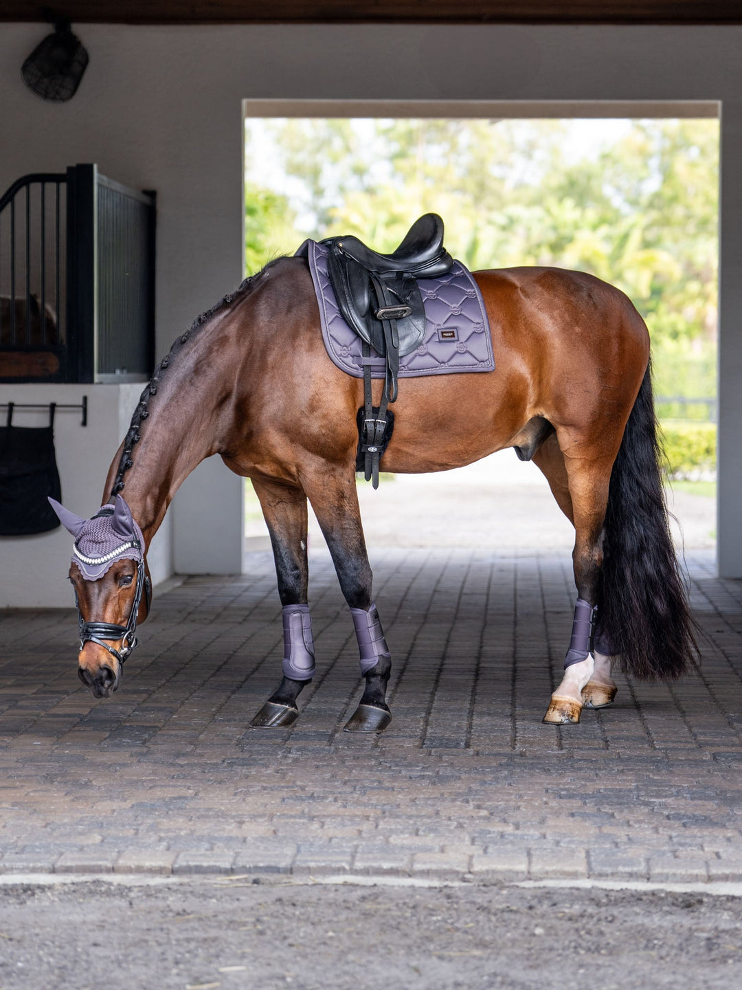 Equestrian Stockholm Classic Dressage Saddle Pad - Dark Violet - Dressage Saddle Pad - Kingdom Equestrian