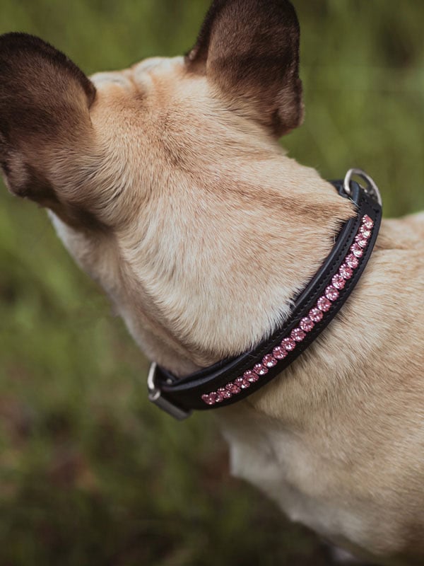 Equestrian Stockholm Dog Collar All In Pink - Dog Collar - Kingdom Equestrian