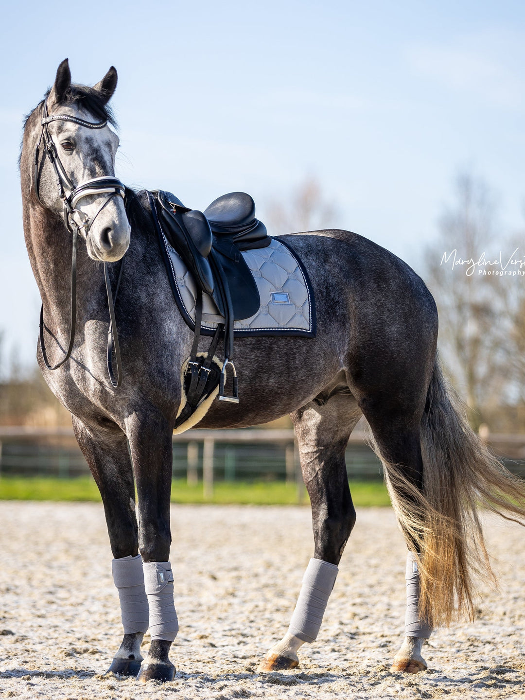Equestrian Stockholm Dressage Saddle Pad Crystal Grey - Dressage Saddle Pad - Kingdom Equestrian