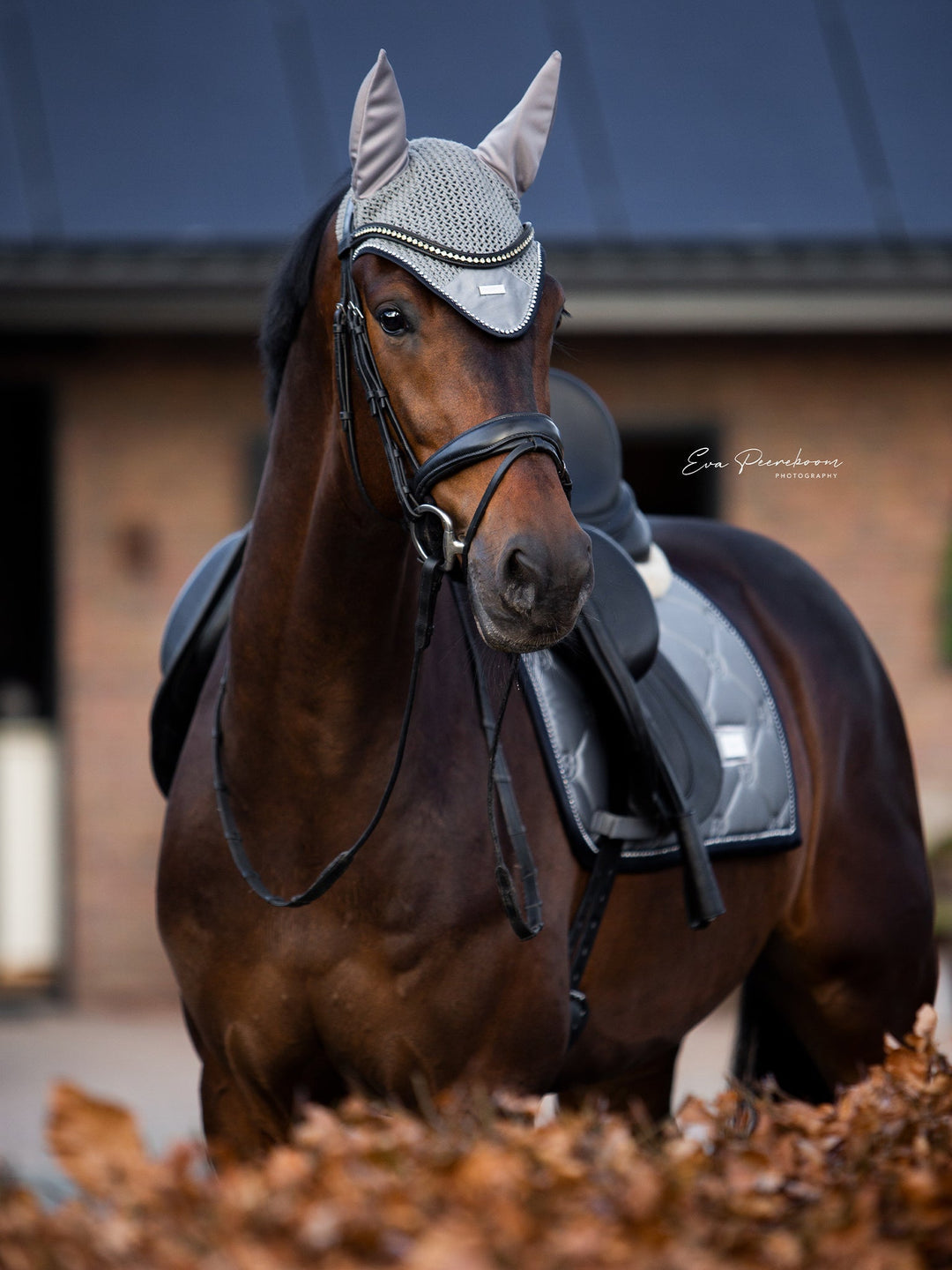 Equestrian Stockholm Dressage Saddle Pad Crystal Grey - Dressage Saddle Pad - Kingdom Equestrian