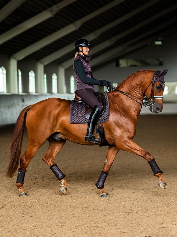 Equestrian Stockholm Dressage Saddle Pad Modern Moonless Night - Dressage Saddle Pad - Kingdom Equestrian