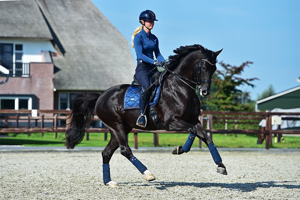 Equestrian Stockholm Dressage Saddle Pad Monaco Blue - Dressage Saddle Pad - Kingdom Equestrian