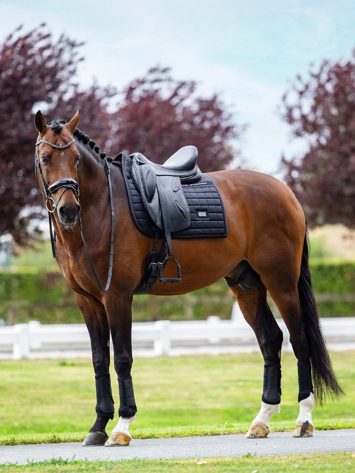 Equestrian Stockholm Dressage Saddle Pad Performance Black - Dressage Saddle Pad - Kingdom Equestrian