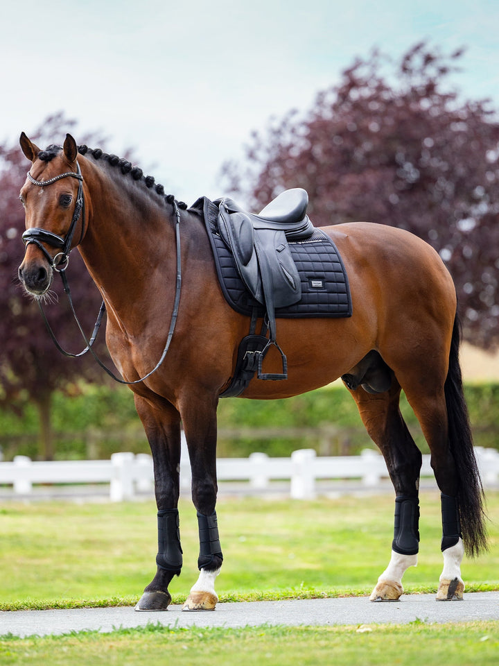 Equestrian Stockholm Dressage Saddle Pad Performance Black - Dressage Saddle Pad - Kingdom Equestrian
