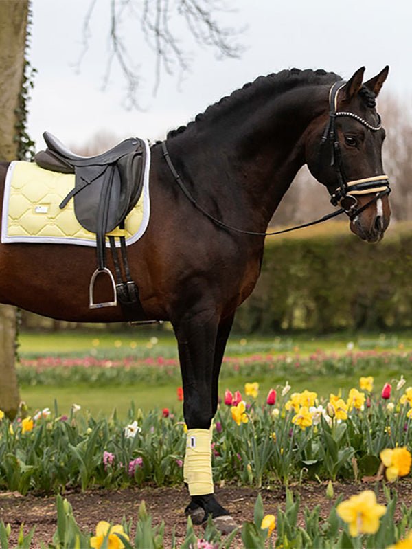Equestrian Stockholm Dressage Saddle Pad Soft Lemon - Dressage Saddle Pad - Kingdom Equestrian