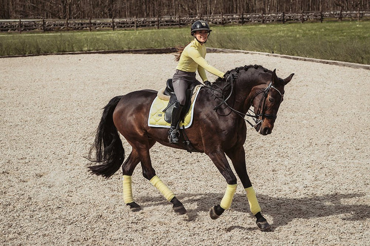 Equestrian Stockholm Dressage Saddle Pad Soft Lemon - Dressage Saddle Pad - Kingdom Equestrian