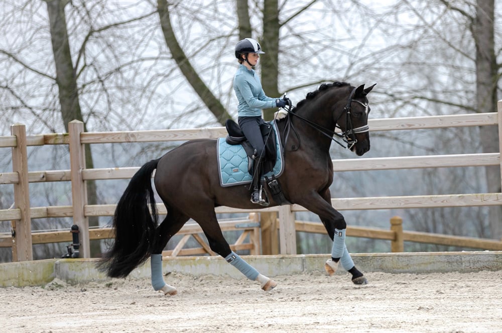 Equestrian Stockholm Dressage Saddle Pad Steel Blue - Dressage Saddle Pad - Kingdom Equestrian