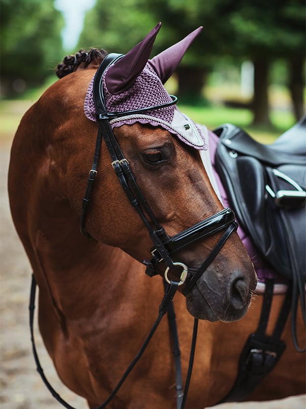 Equestrian Stockholm Ear Bonnet Orchid Bloom - Ear Bonnet - Kingdom Equestrian