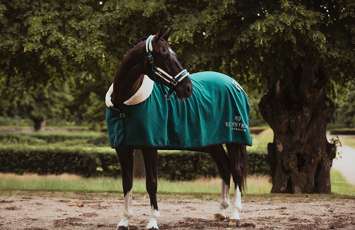 Equestrian Stockholm Fleece Blanket Fur Emerald - Horse Blanket - Kingdom Equestrian