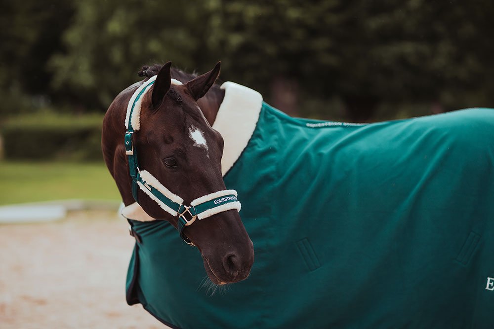 Equestrian Stockholm Fleece Blanket Fur Emerald - Horse Blanket - Kingdom Equestrian