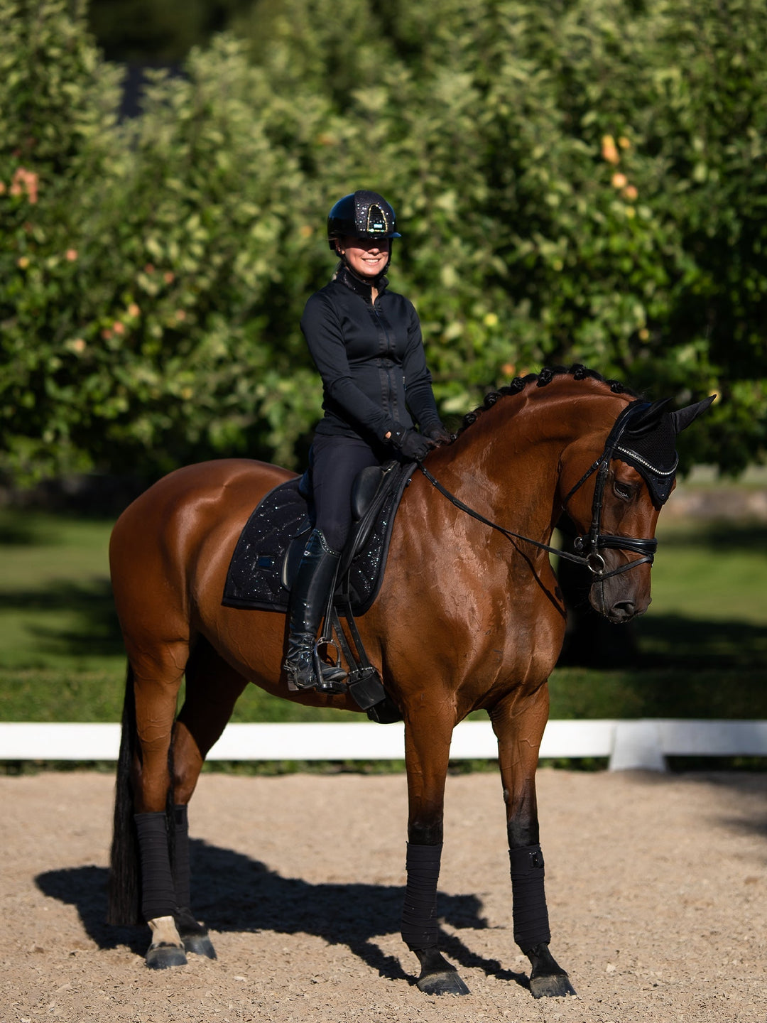 Equestrian Stockholm Fly Hood All Black Glimmer - Ear Bonnet - Kingdom Equestrian