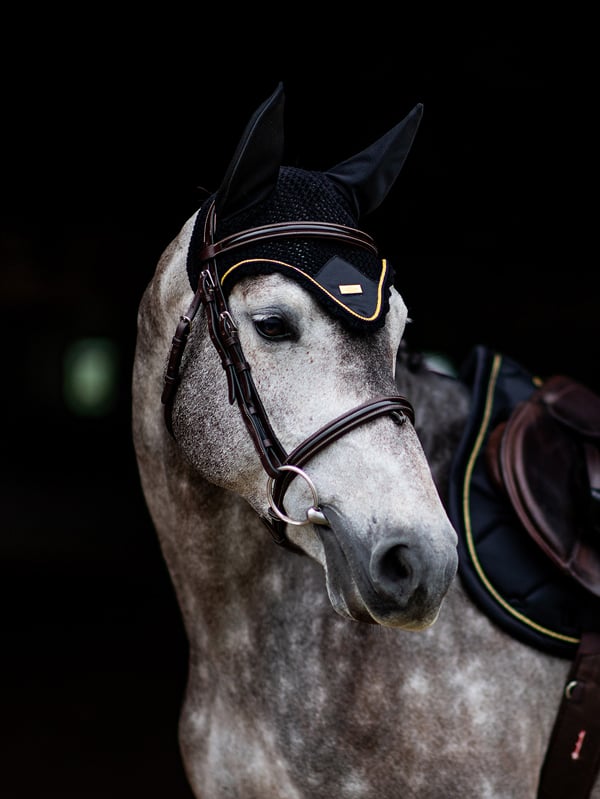 Equestrian Stockholm Fly Hood Black Gold - Ear Bonnet - Kingdom Equestrian