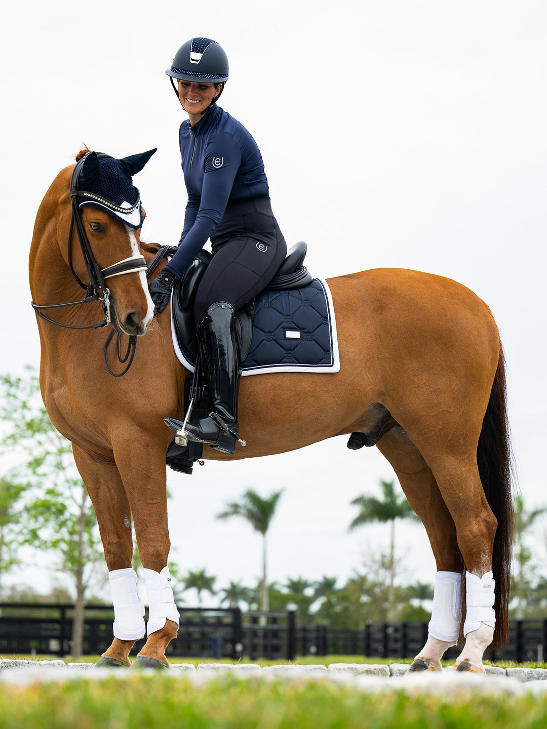 Equestrian Stockholm Fly Hood Midnight White Edge - Ear Bonnet - Kingdom Equestrian