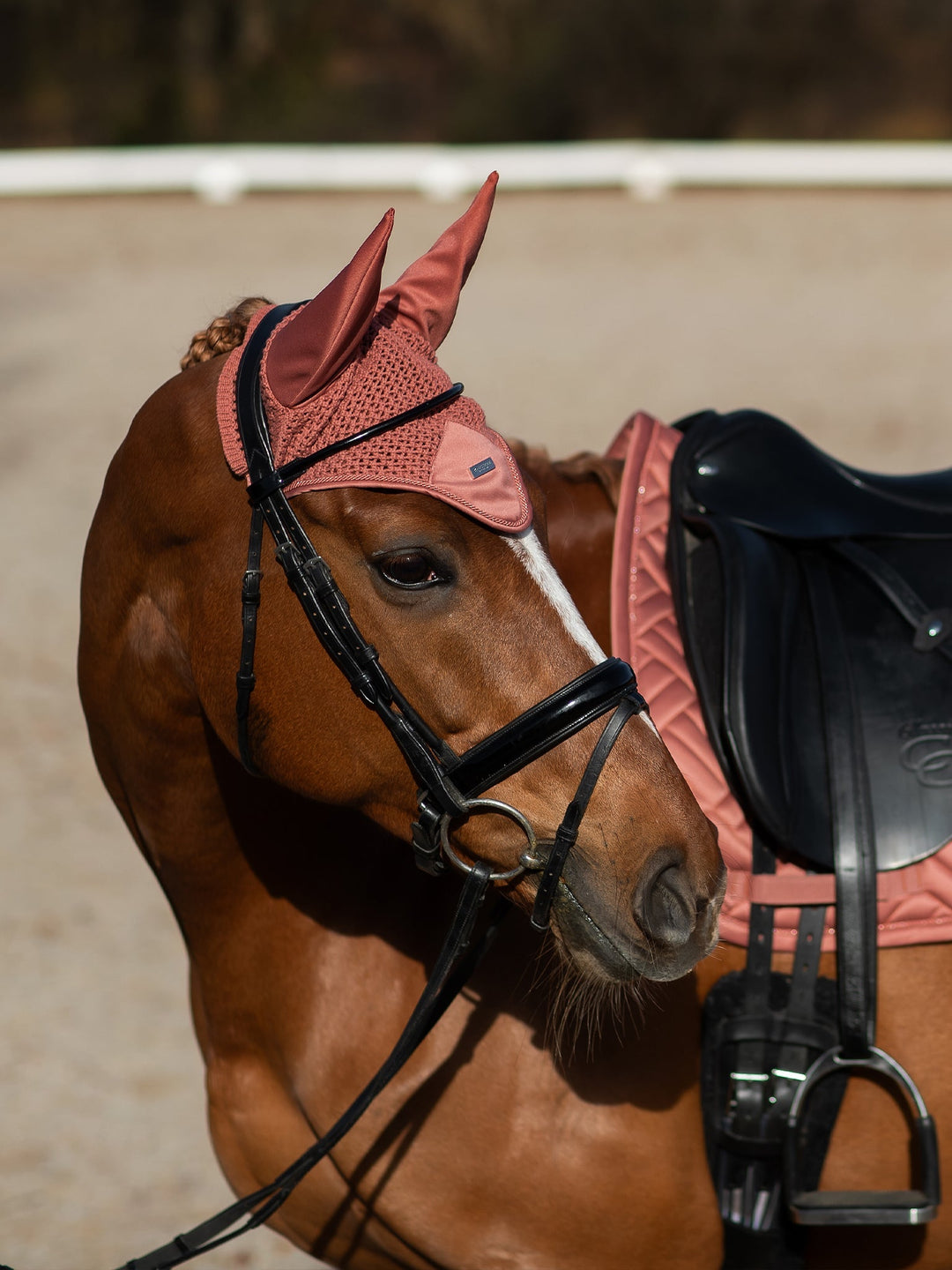 Equestrian Stockholm Fly Hood Modern Coral - Ear Bonnet - Kingdom Equestrian