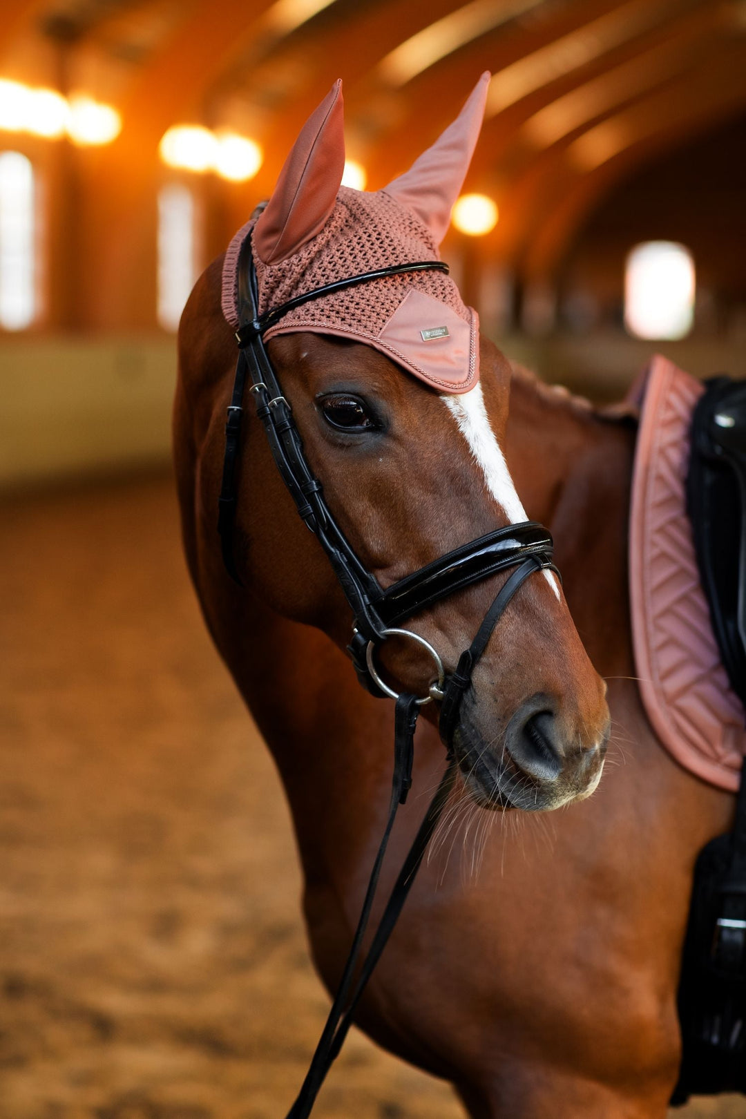 Equestrian Stockholm Fly Hood Modern Coral - Ear Bonnet - Kingdom Equestrian