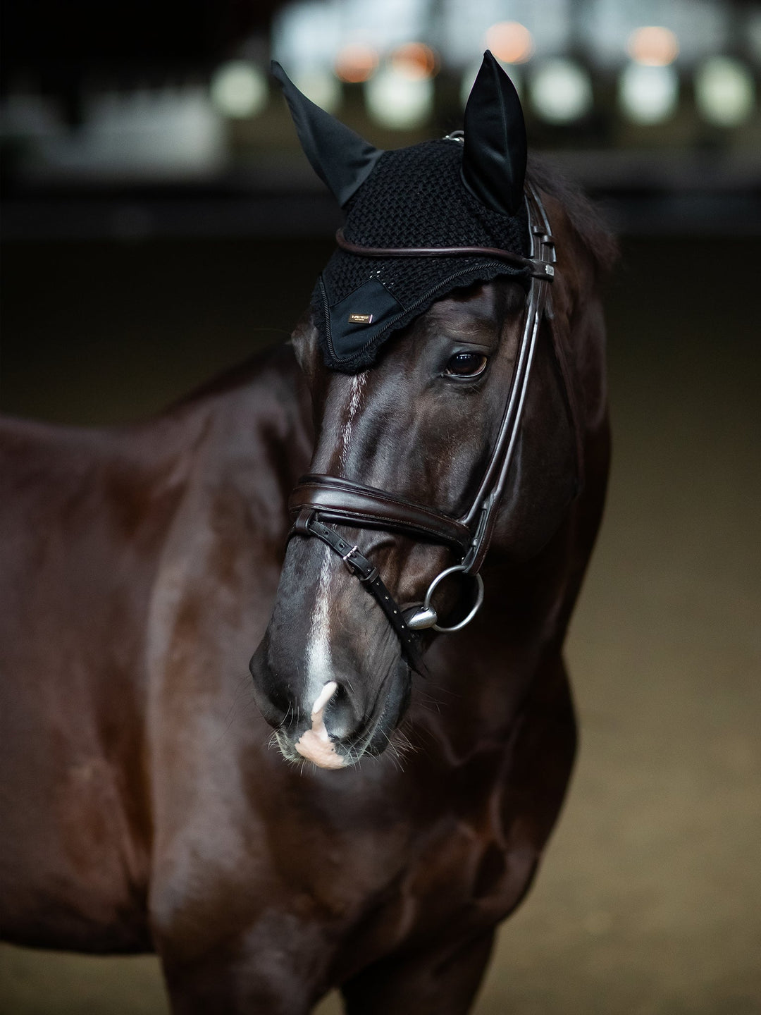 Equestrian Stockholm Fly Hood Plain Black Gold - Ear Bonnet - Kingdom Equestrian