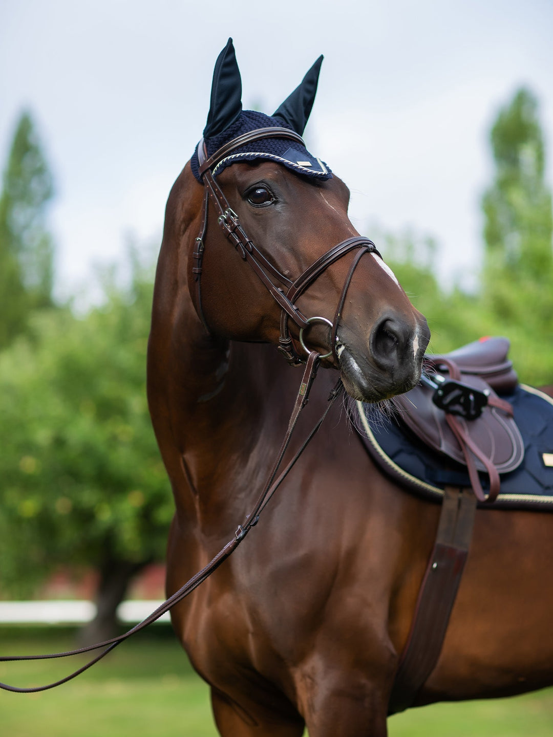 Equestrian Stockholm Fly Hood Royal Classic - Ear Bonnet - Kingdom Equestrian