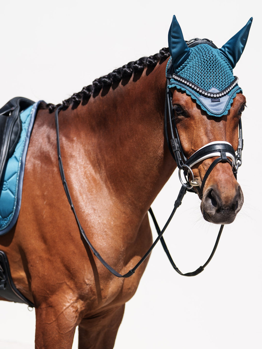 Equestrian Stockholm Fly Hood - Teal Blue - Fly Hood - Kingdom Equestrian