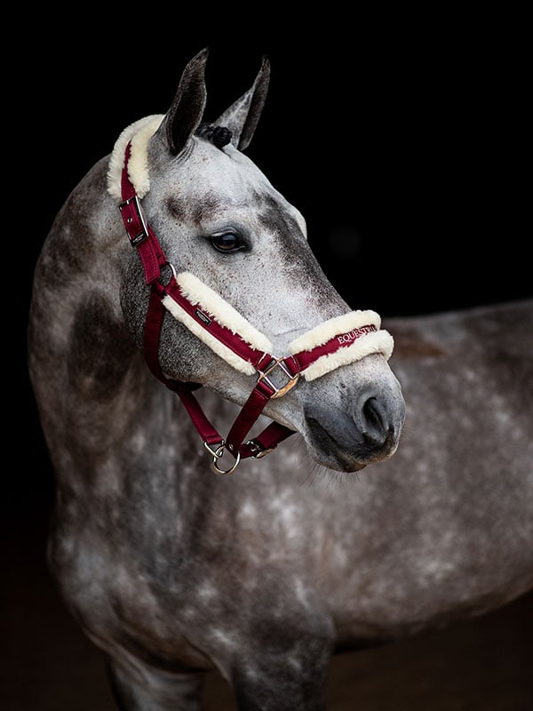 Equestrian Stockholm Fur Halter &amp; Lead Rope Bordeaux - Halter - Kingdom Equestrian