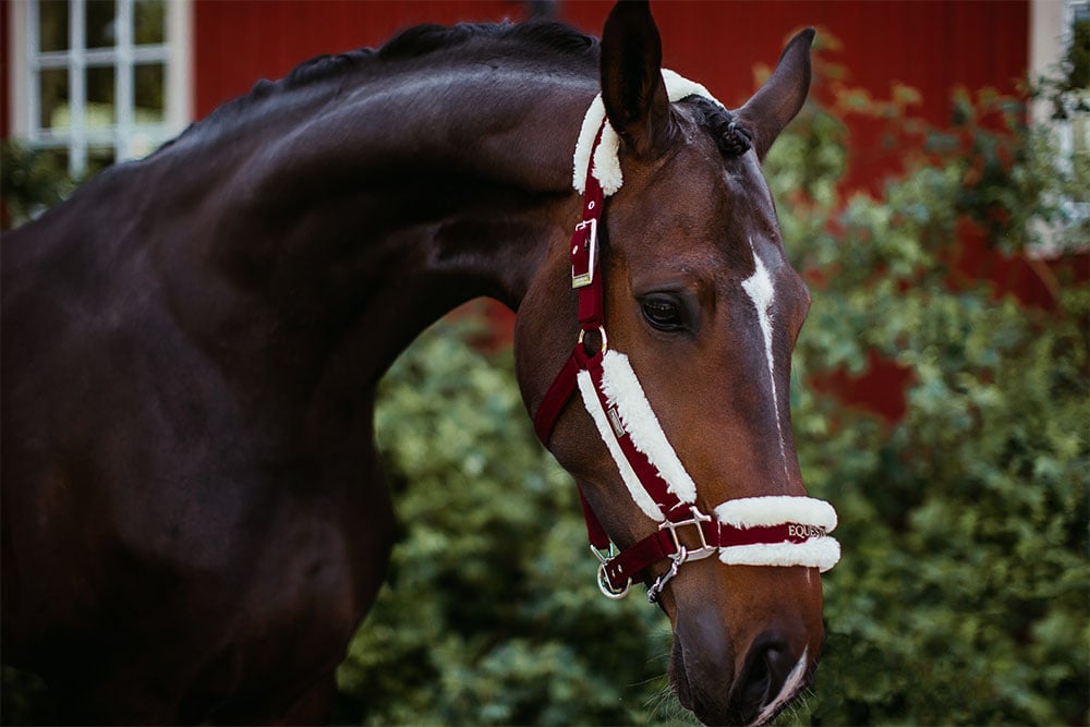 Equestrian Stockholm Fur Halter &amp; Lead Rope Bordeaux - Halter - Kingdom Equestrian