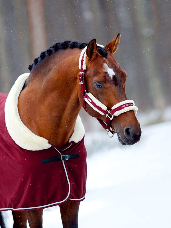 Equestrian Stockholm Fur Halter &amp; Lead Rope Bordeaux - Halter - Kingdom Equestrian