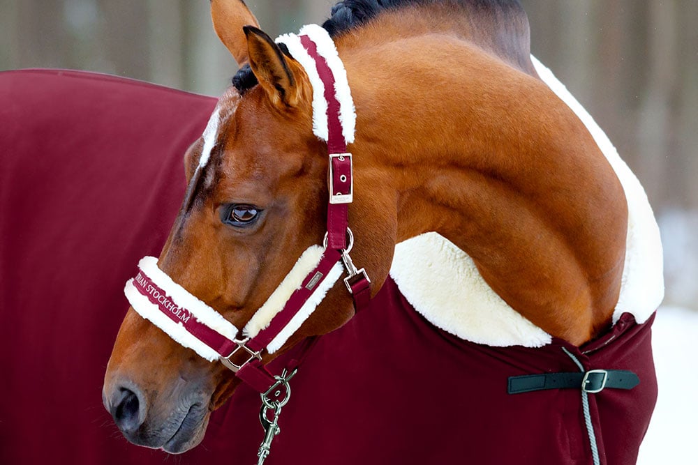 Equestrian Stockholm Fur Halter &amp; Lead Rope Bordeaux - Halter - Kingdom Equestrian