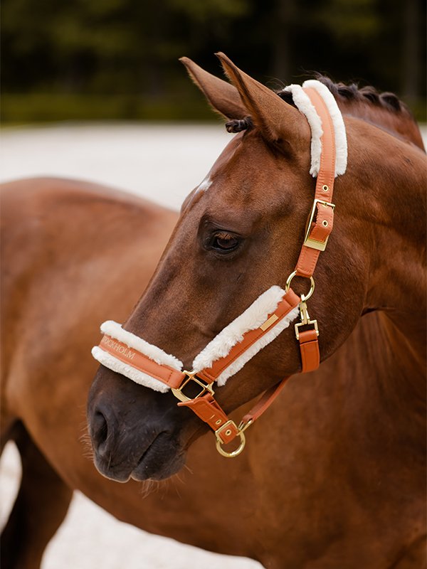 Equestrian Stockholm Fur Halter &amp; Lead Rope Bronze Gold - Halter - Kingdom Equestrian