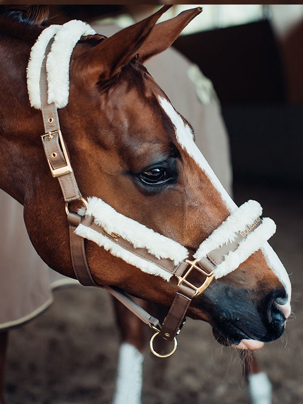Equestrian Stockholm Fur Halter &amp; Lead Rope Champagne - Halter - Kingdom Equestrian