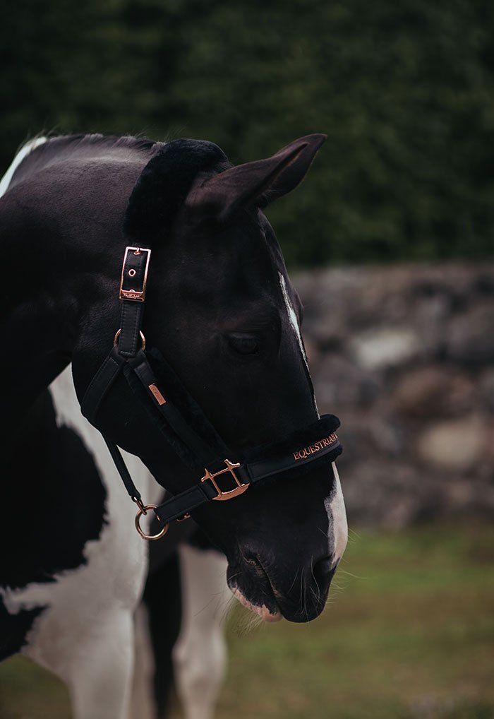 Equestrian Stockholm Fur Halter &amp; Lead Rope Dark Sky - Halter - Kingdom Equestrian