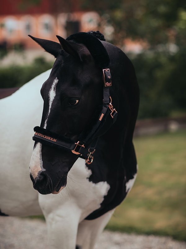 Equestrian Stockholm Fur Halter &amp; Lead Rope Dark Sky - Halter - Kingdom Equestrian