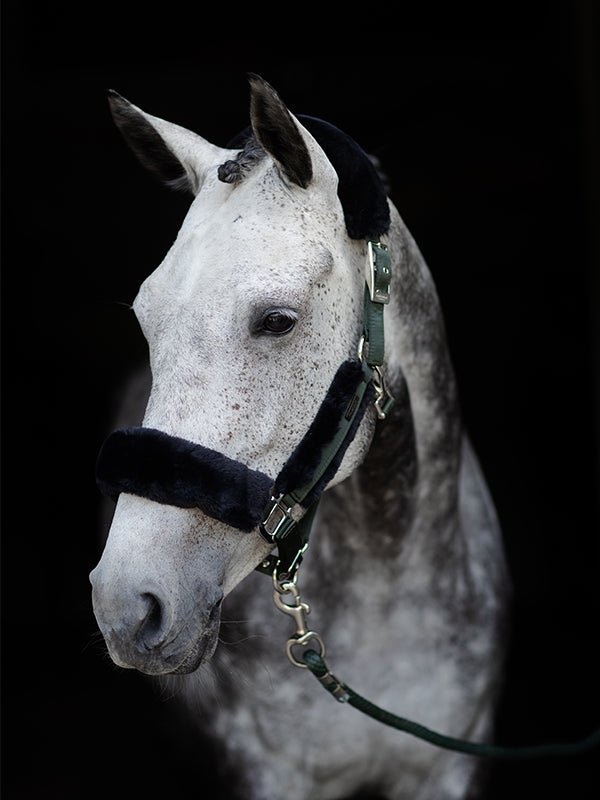 Equestrian Stockholm Fur Halter &amp; Lead Rope Deep Olivine - Halter - Kingdom Equestrian
