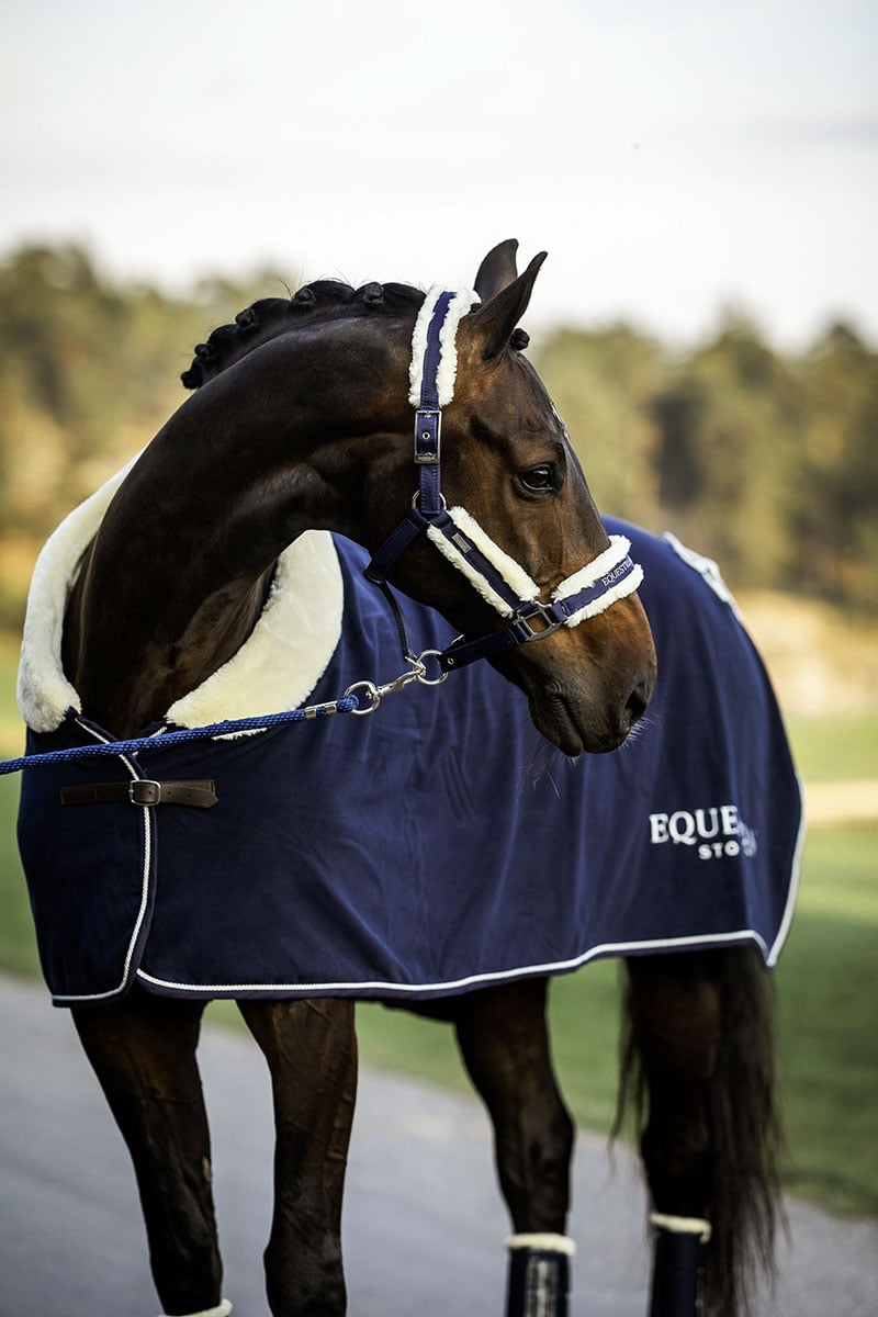 Equestrian Stockholm Fur Halter &amp; Lead Rope Navy - Halter - Kingdom Equestrian