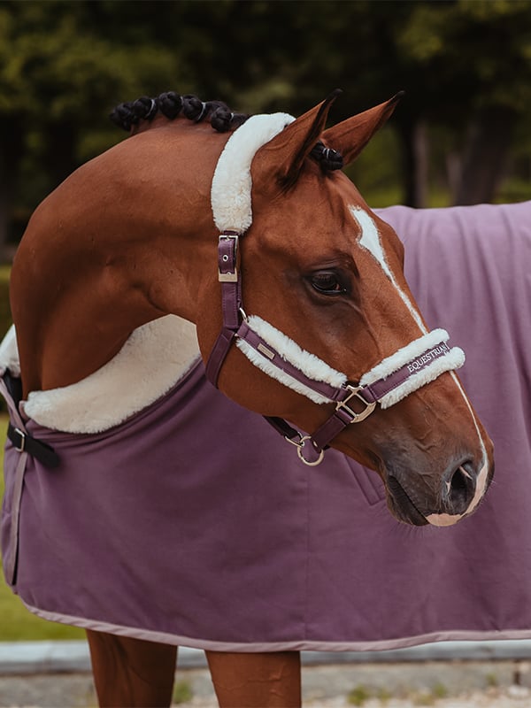 Equestrian Stockholm Fur Halter &amp; Lead Rope Orchid Bloom - Halter - Kingdom Equestrian