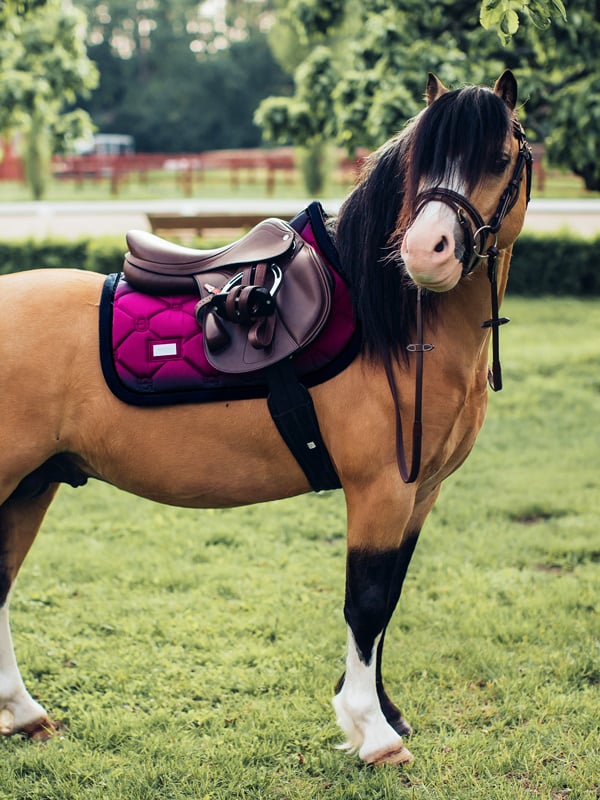 Equestrian Stockholm Jump Saddle Pad Faded Fuchsia - Jump Saddle Pad - Kingdom Equestrian